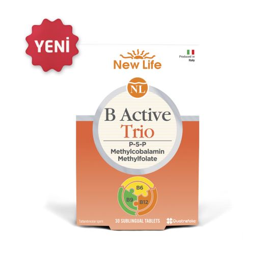 B-Active Trio 30 Tb